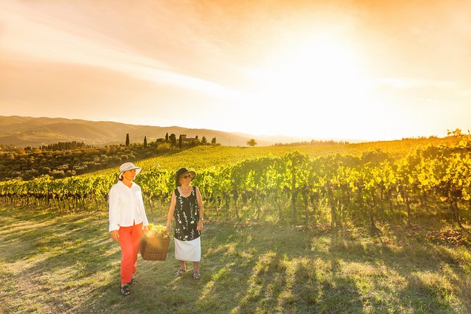 Wine experience Bologna hills - Meet the People Behind the Glass: Hosts, Guides, and 1-to-1 Feel