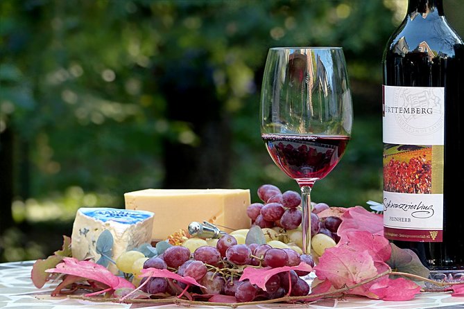 Wine experience Bologna hills - Who This Tour Is Best For (and Who Should Reconsider)